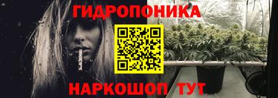 стаф Кулебаки