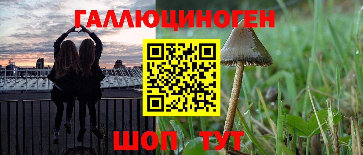 Псилоцибиновые грибы Psilocybe Клинцы